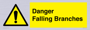 Danger Falling Branches